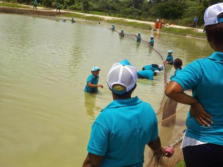 Mujeres de Tamarindo inauguran proyecto Tilapias.