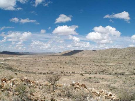 arrecife de Cloudina descubierto en Namibia