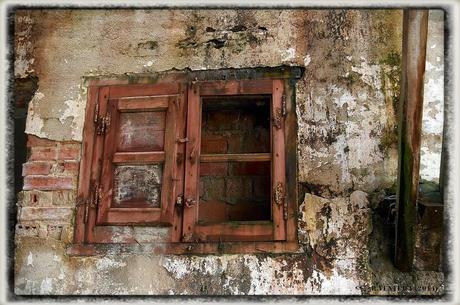 E.P.B Productores de Patatas de Siembra