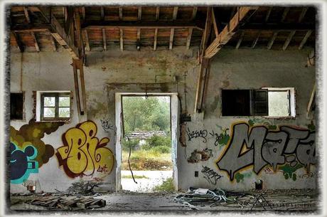 E.P.B Productores de Patatas de Siembra