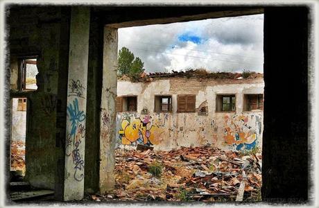 E.P.B Productores de Patatas de Siembra