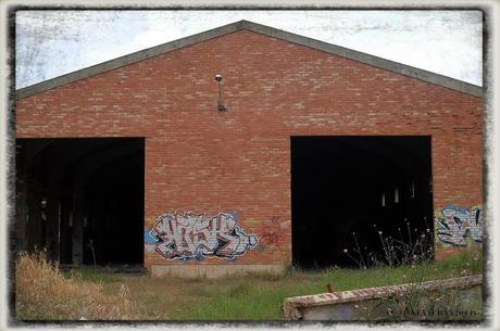 E.P.B Productores de Patatas de Siembra