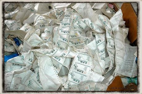 E.P.B Productores de Patatas de Siembra