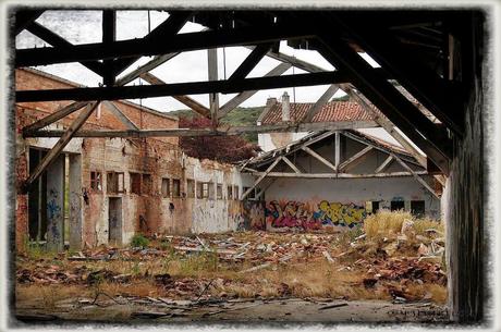 E.P.B Productores de Patatas de Siembra