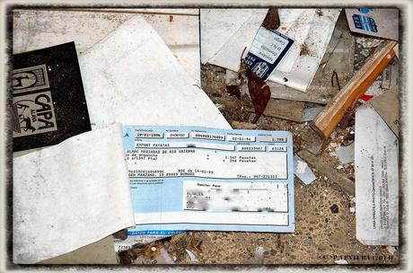 E.P.B Productores de Patatas de Siembra