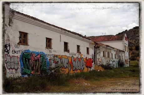 E.P.B Productores de Patatas de Siembra
