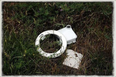 E.P.B Productores de Patatas de Siembra