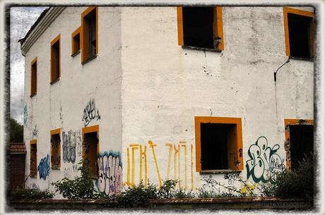 E.P.B Productores de Patatas de Siembra