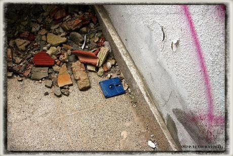 E.P.B Productores de Patatas de Siembra