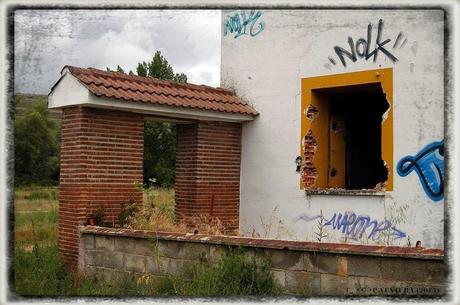 E.P.B Productores de Patatas de Siembra