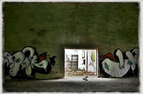 E.P.B Productores de Patatas de Siembra