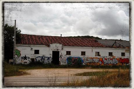 E.P.B Productores de Patatas de Siembra
