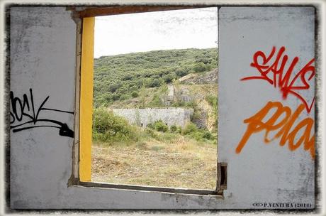 E.P.B Productores de Patatas de Siembra