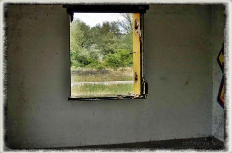 E.P.B Productores de Patatas de Siembra