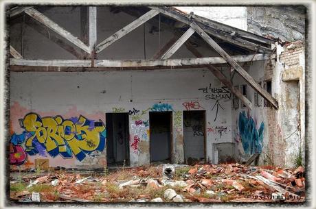 E.P.B Productores de Patatas de Siembra