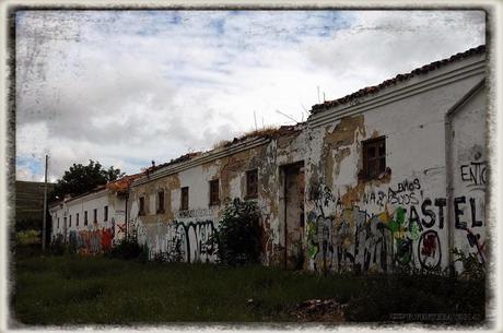 E.P.B Productores de Patatas de Siembra