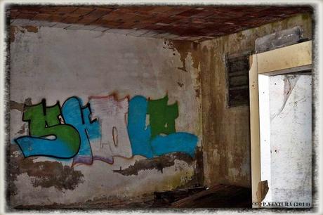 E.P.B Productores de Patatas de Siembra