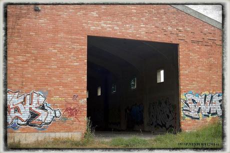 E.P.B Productores de Patatas de Siembra