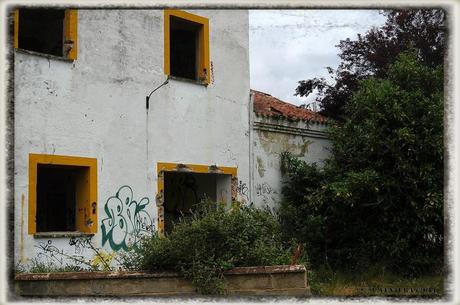 E.P.B Productores de Patatas de Siembra