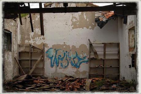 E.P.B Productores de Patatas de Siembra