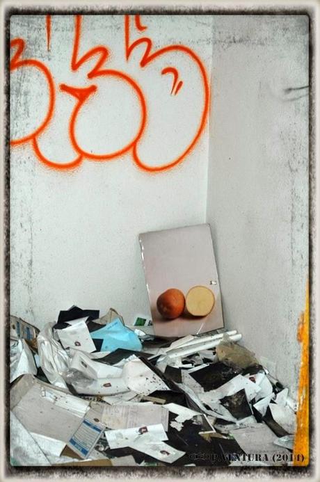 E.P.B Productores de Patatas de Siembra