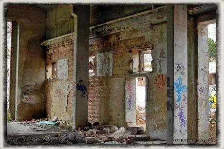 E.P.B Productores de Patatas de Siembra