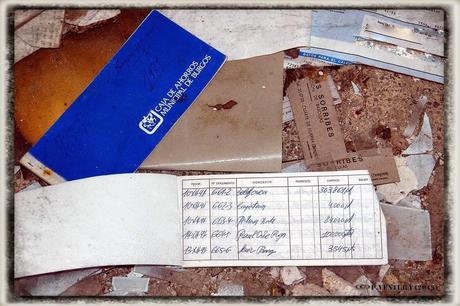 E.P.B Productores de Patatas de Siembra