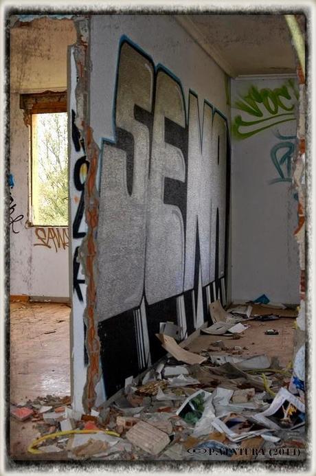 E.P.B Productores de Patatas de Siembra