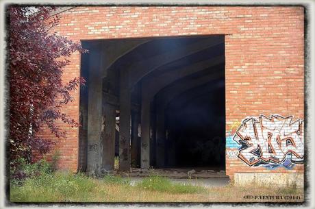 E.P.B Productores de Patatas de Siembra