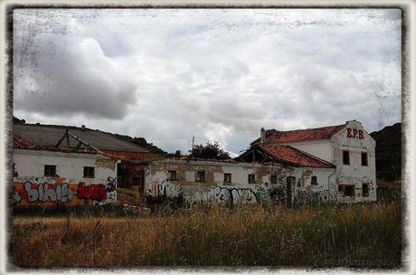 E.P.B Productores de Patatas de Siembra