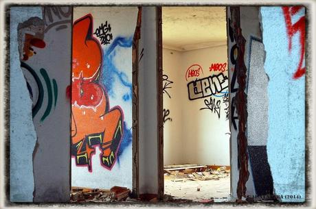 E.P.B Productores de Patatas de Siembra