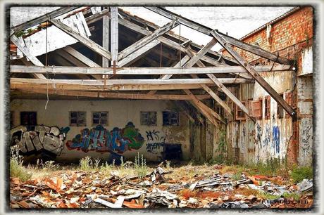 E.P.B Productores de Patatas de Siembra