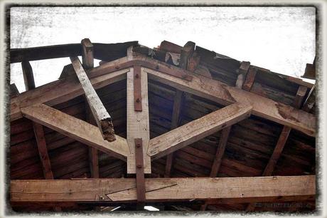 E.P.B Productores de Patatas de Siembra