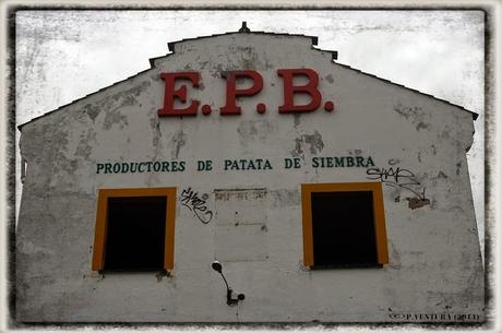 E.P.B Productores de Patatas de Siembra