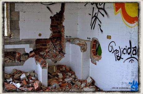 E.P.B Productores de Patatas de Siembra