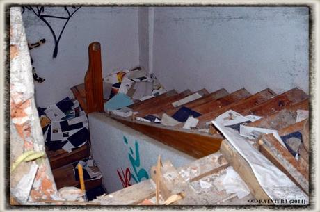 E.P.B Productores de Patatas de Siembra