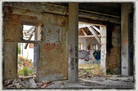 E.P.B Productores de Patatas de Siembra