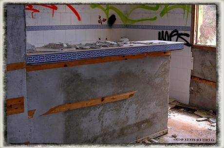 E.P.B Productores de Patatas de Siembra