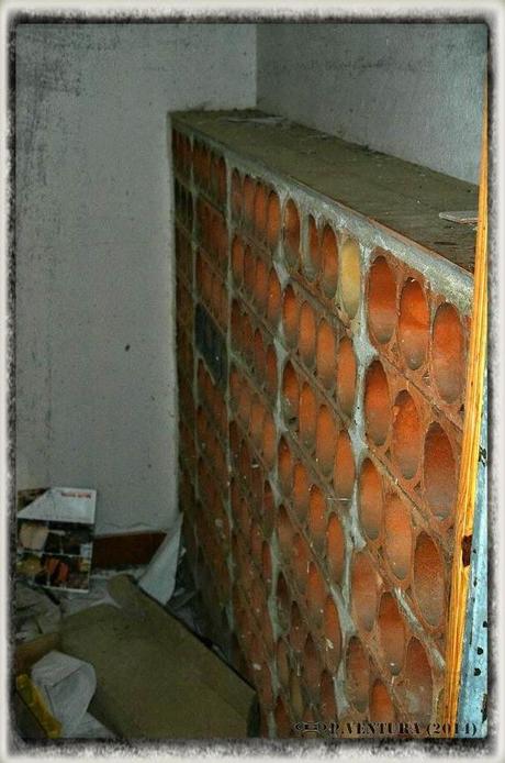 E.P.B Productores de Patatas de Siembra