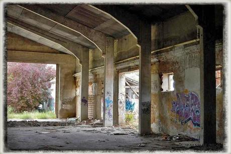 E.P.B Productores de Patatas de Siembra