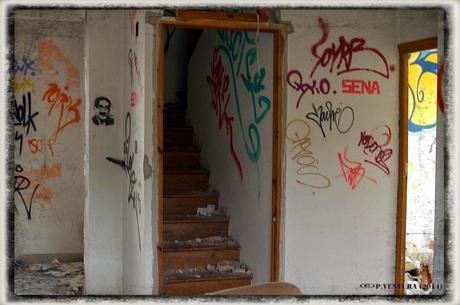 E.P.B Productores de Patatas de Siembra