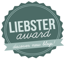 Primer Premio: Premio Liebster