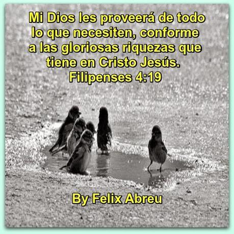 Dios Provee en el Camino hacia el Milagro