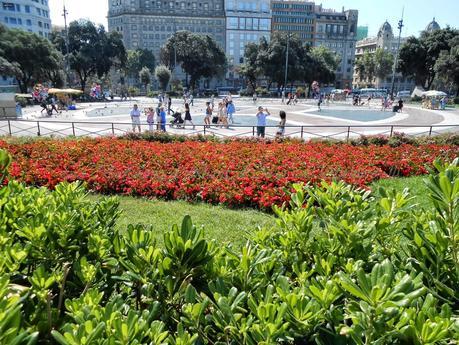 BARCELONA...UN PASEO FLORIDO, 28-06-2014...!!!