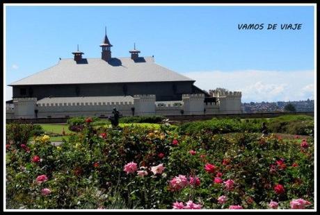 SYDNEY. Australia. Mis primeros pasos por la tierra de los canguros. Marzo 2014 Parque Domain