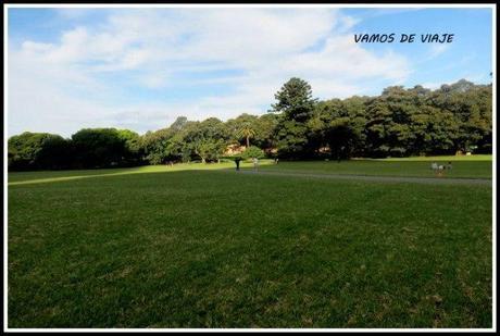 SYDNEY. Australia. Mis primeros pasos por la tierra de los canguros. Marzo 2014 PARQUES EN SYDNEY
