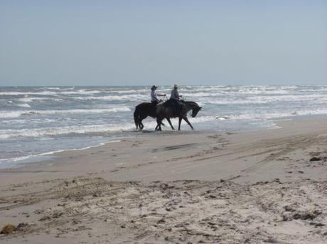 LRG Magazine - Pensacola - National Seashore LRG Magazine - Pensacola - National Seashore