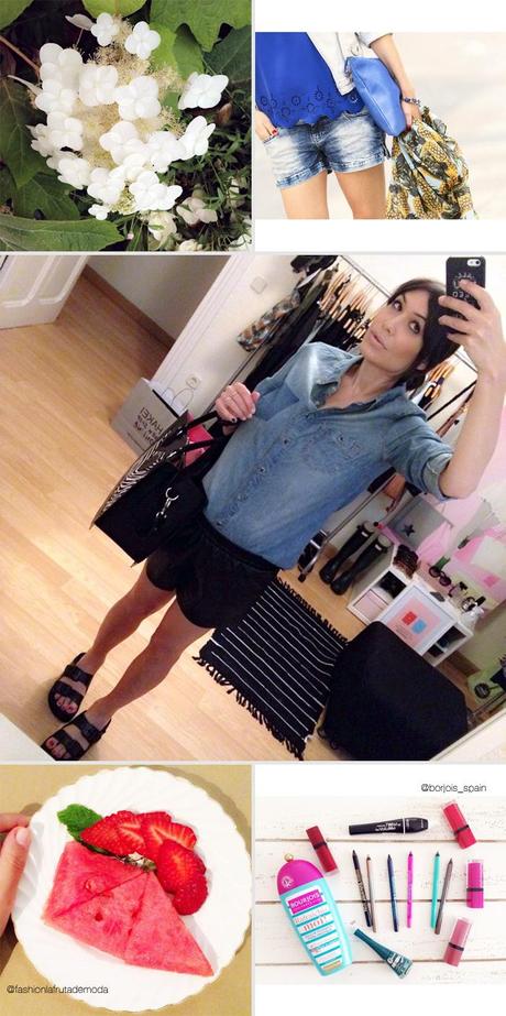 notes of the week barbara crespo tumblr social media instagram youtube instavideo