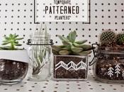 Recipientes cristal personalizados para crasas cactus...