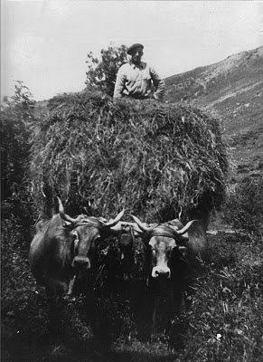 Y encima de todo… el abuelo
